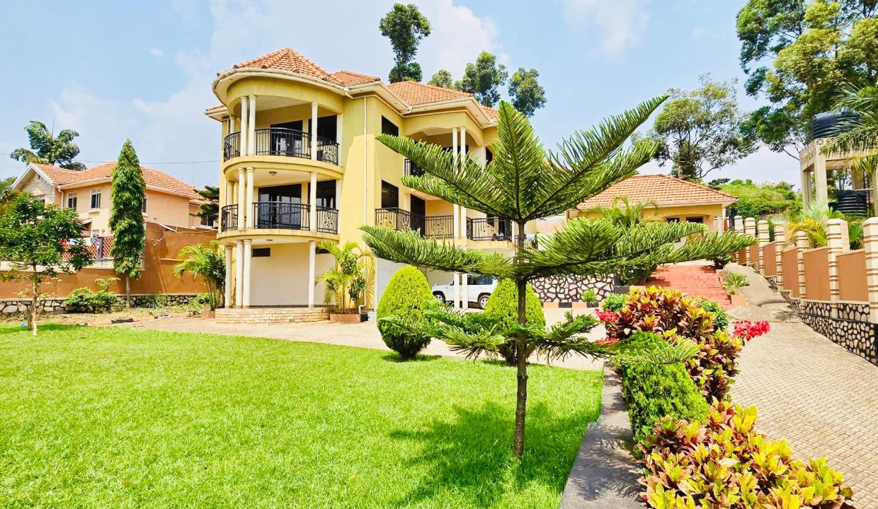 WhatsApp Image 2025-02-11 at 20.10.56_596dadfe