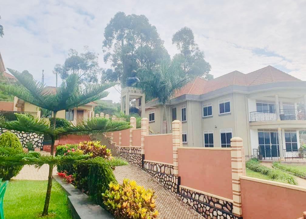 WhatsApp Image 2025-02-11 at 20.10.56_6c2a3b89