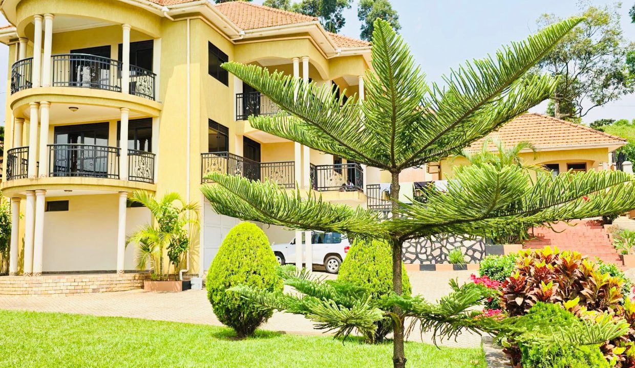 WhatsApp Image 2025-02-11 at 20.10.57_21c763b1